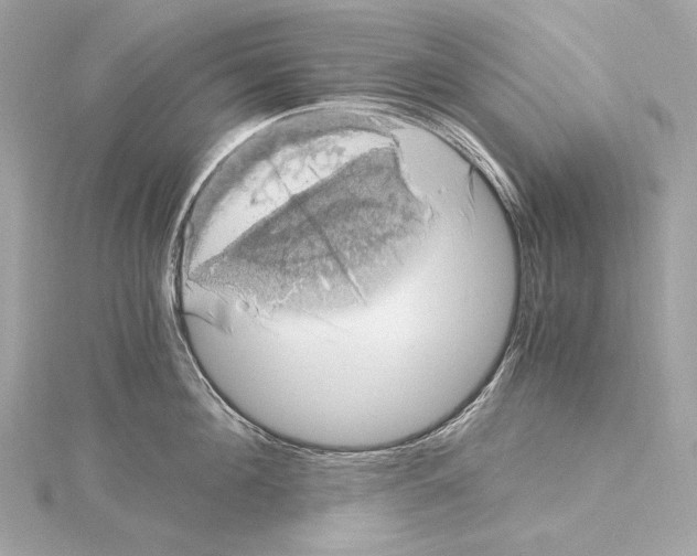 X0000115060908200912071149