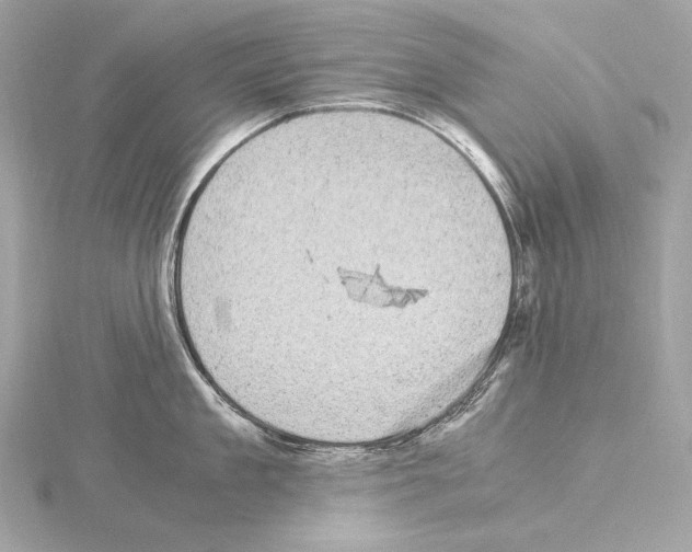 X0000115060909200912071149