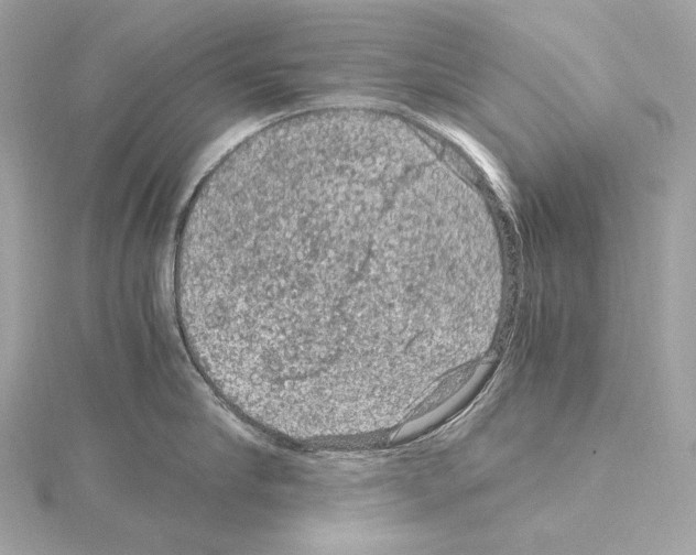 X0000115060910200912071149