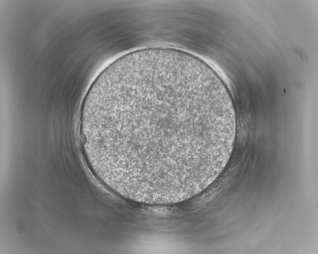 X0000115060911200912071149