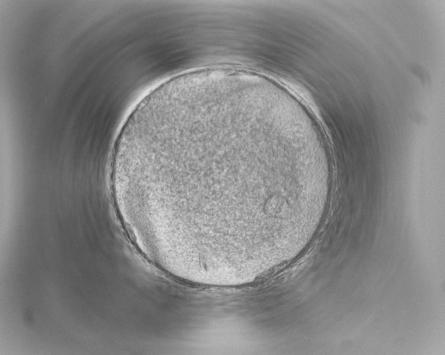 X0000115060912200912071149