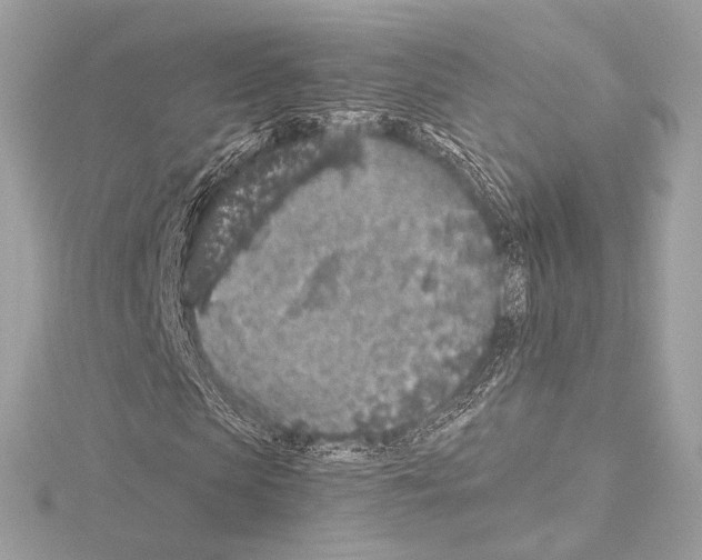 X0000115060913200912071148