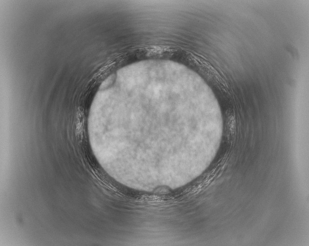 X0000115060914200912071148