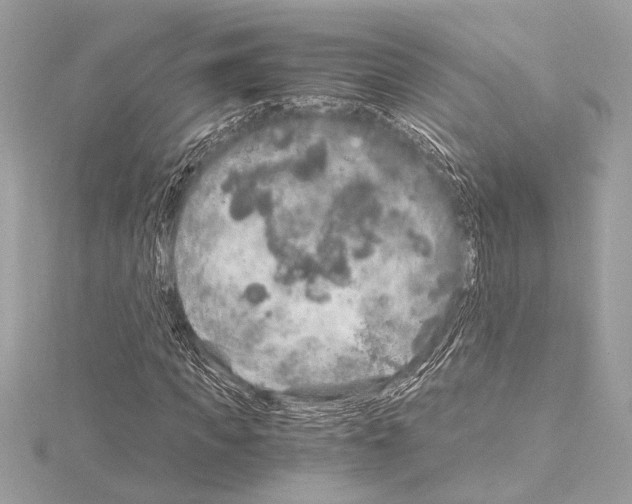 X0000115060917200912071148