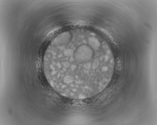 X0000115060918200912071148