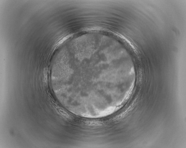 X0000115060921200912071148