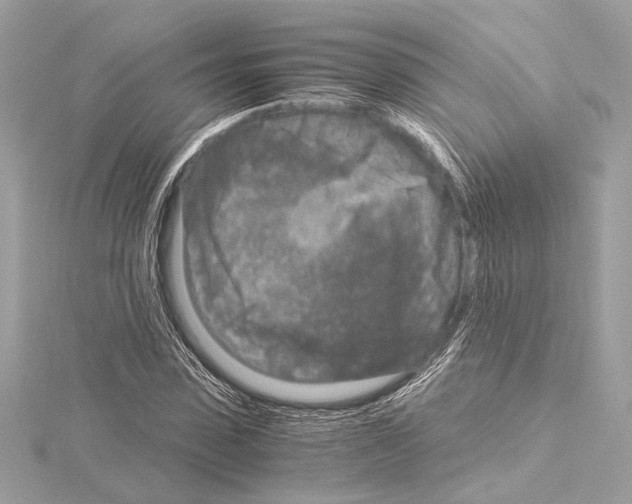 X0000115060923200912071148