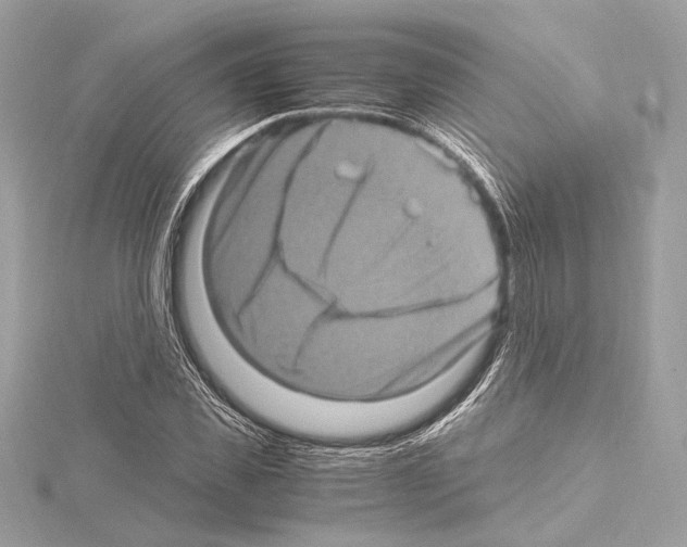 X0000115060925200912071148