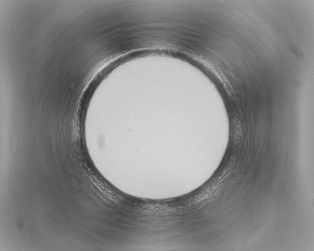 X0000115060927200912071148