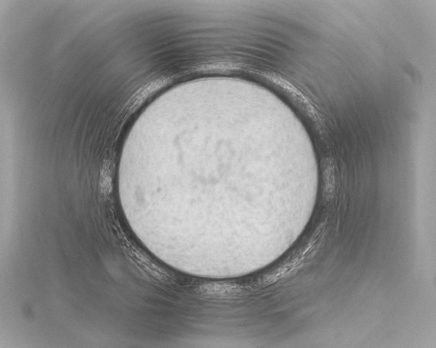 X0000115060929200912071148