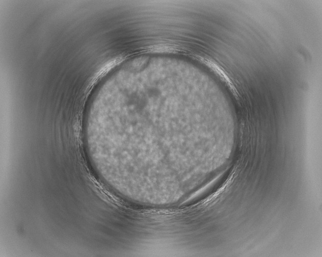 X0000115060930200912071148