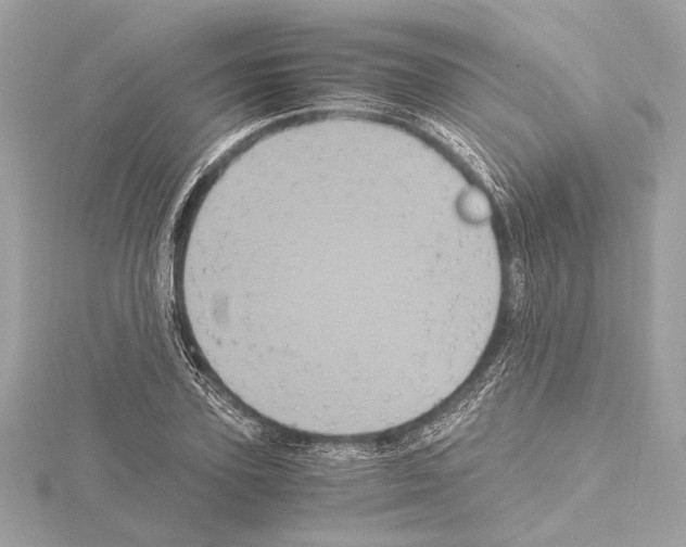 X0000115060931200912071148