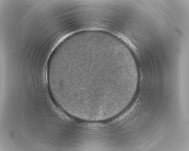 X0000115060934200912071148