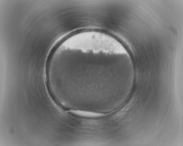 X0000115060935200912071148