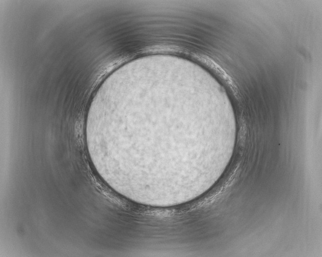 X0000115060937200912071148