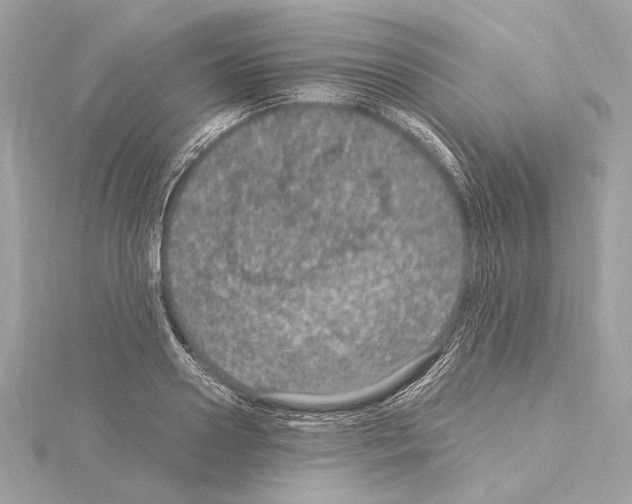 X0000115060938200912071148