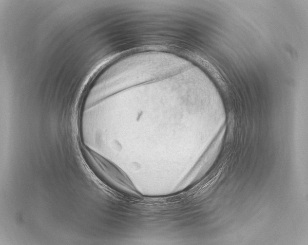 X0000115060939200912071148