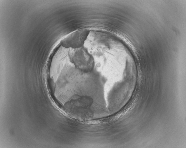 X0000115060941200912071148