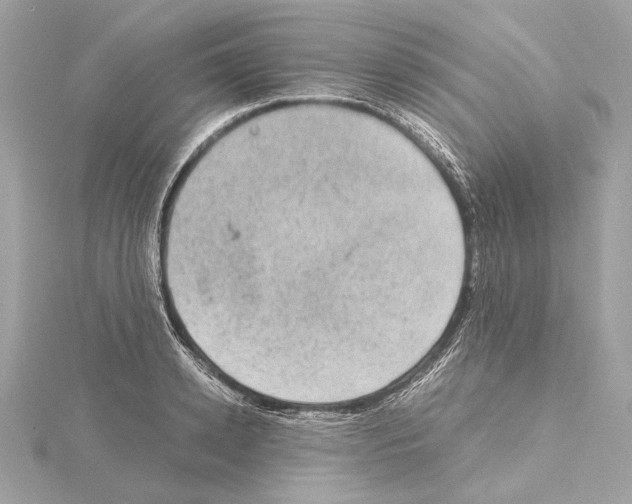 X0000115060942200912071148