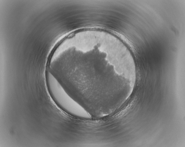 X0000115060943200912071148