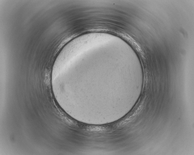 X0000115060945200912071148