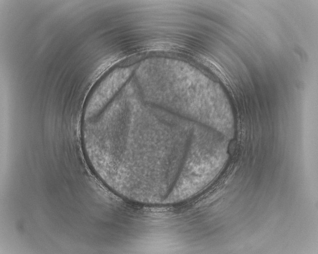 X0000115060946200912071148