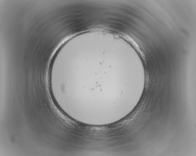 X0000115060947200912071148