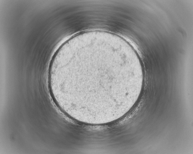 X0000115060949200912071148