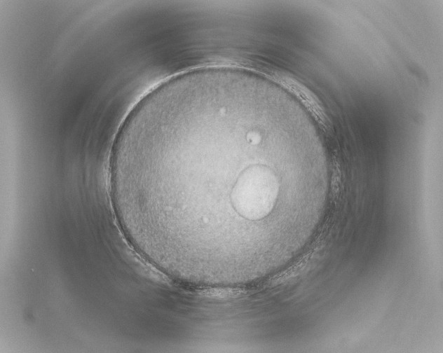 X0000115060950200912071148