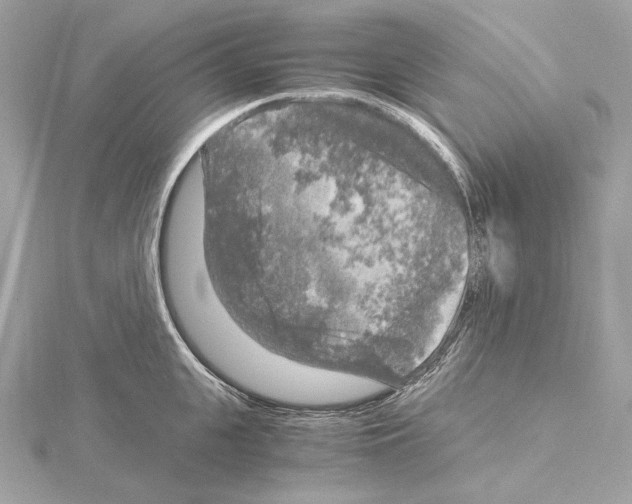 X0000115060951200912071148