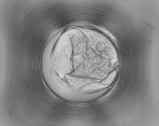 X0000115060953200912071148