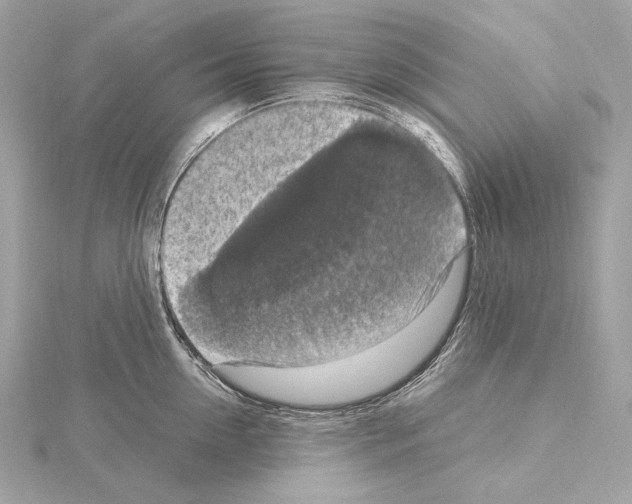 X0000115060954200912071148