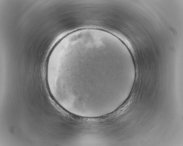 X0000115060958200912071149