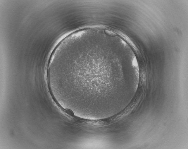 X0000115060959200912071149