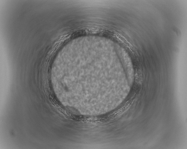 X0000115060961200912071148