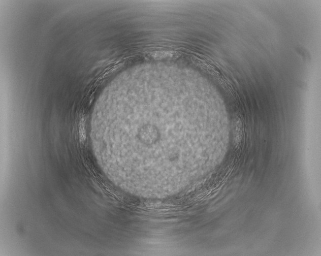 X0000115060962200912071148