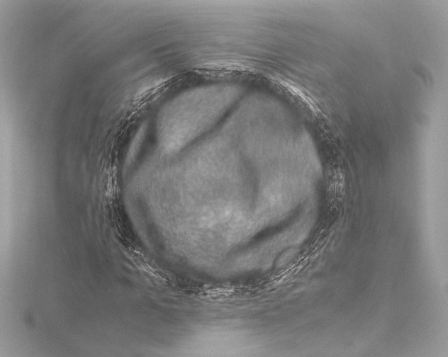 X0000115060965200912071148