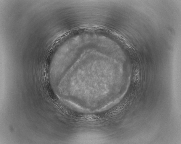 X0000115060966200912071148