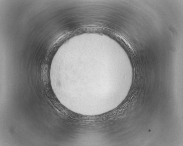 X0000115060968200912071148