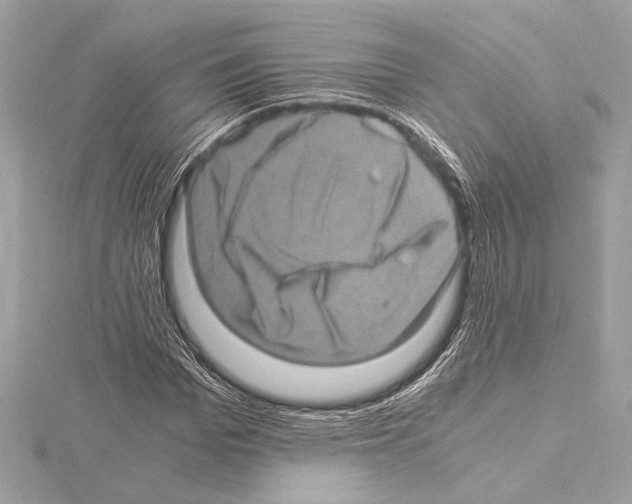 X0000115060969200912071148