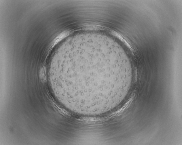 X0000115060970200912071148