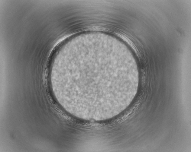 X0000115060971200912071148