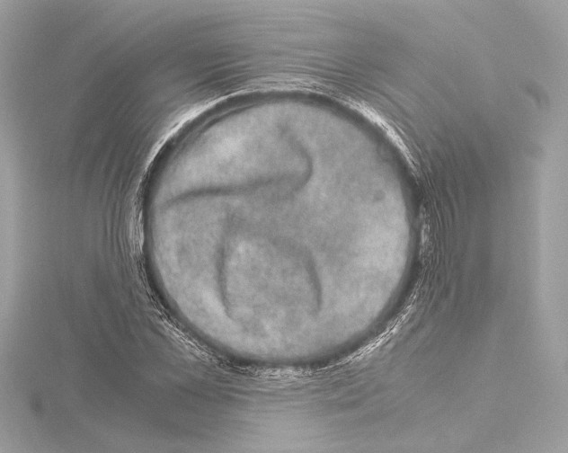 X0000115060973200912071148