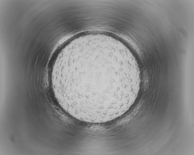 X0000115060974200912071148