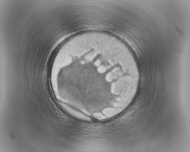 X0000115060975200912071148