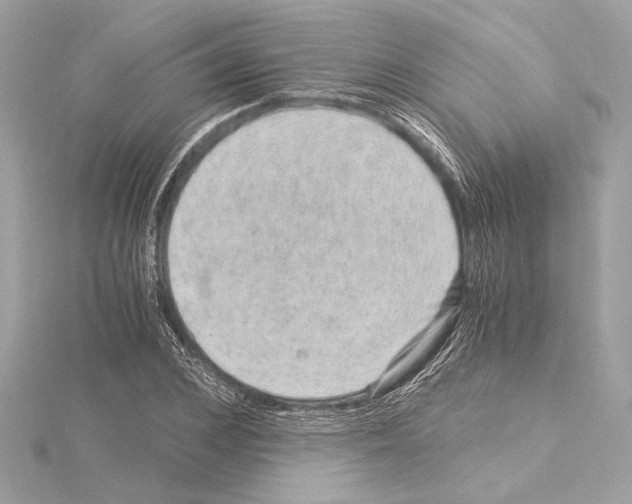 X0000115060976200912071148