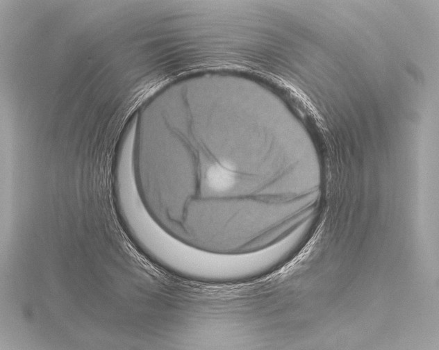 X0000115060977200912071148