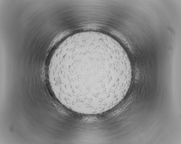 X0000115060978200912071148