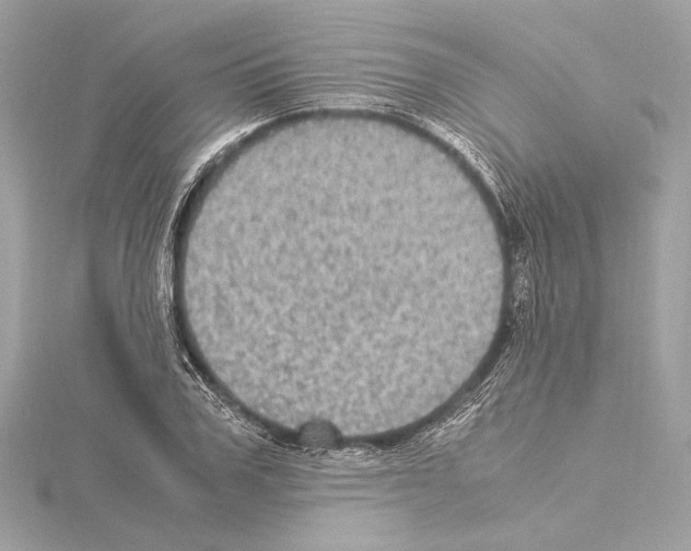 X0000115060979200912071148