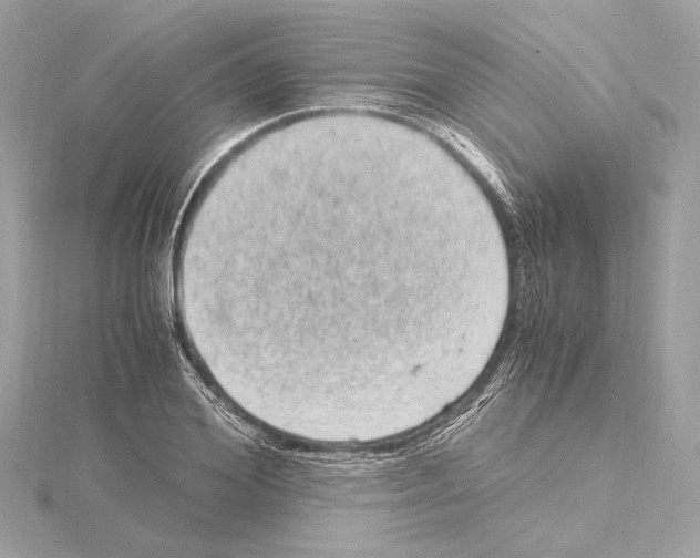 X0000115060980200912071148